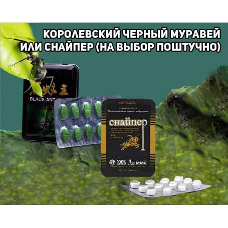 Королевский черный муравей\черный африканский муравей или снайпер поштучно